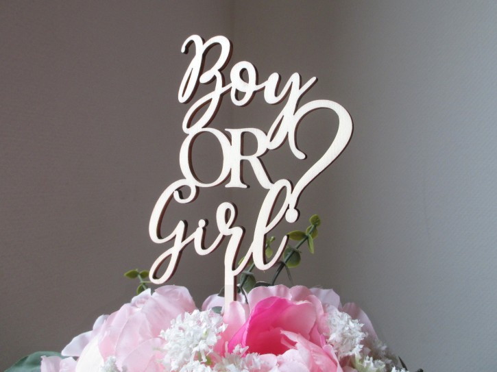 Blumen- / Tortenstecker "Boy Or Girl?" aus Holz